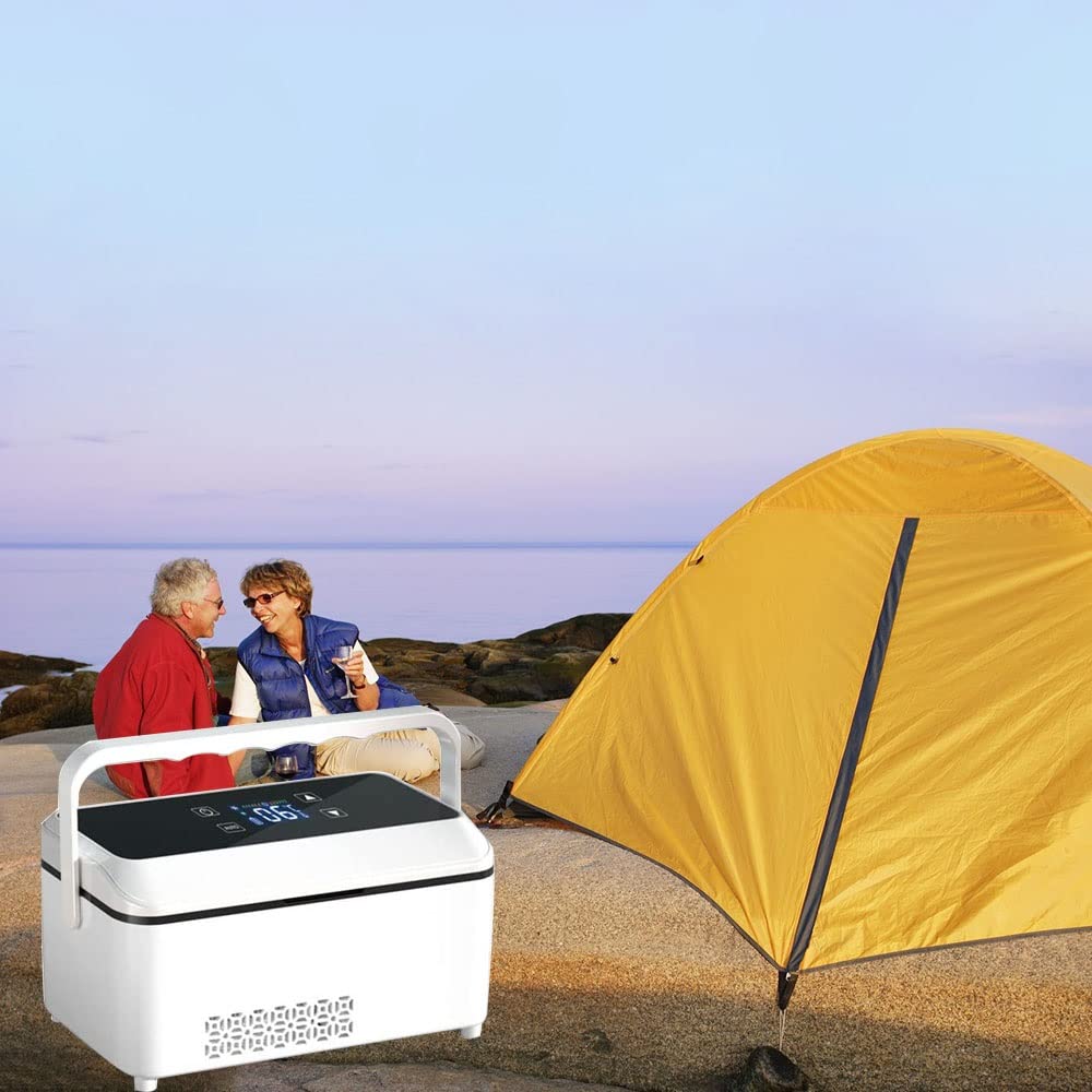 Sjdopulse Insulin Fridge Box Mini Portable Medicine Constant Temperature Capacity To Take On The Go, Alarm System,For Home, Office And Camping