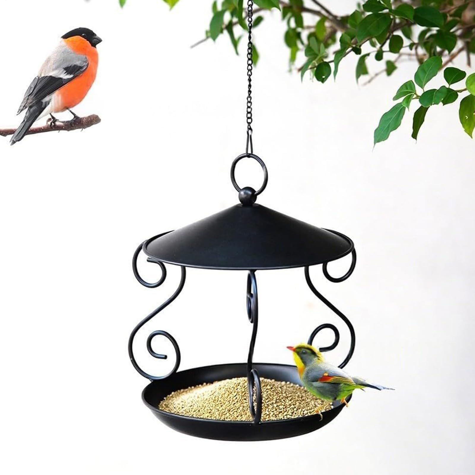 Mangeoire pour oiseaux extérieurs finie la nourriture mouillée au jardin