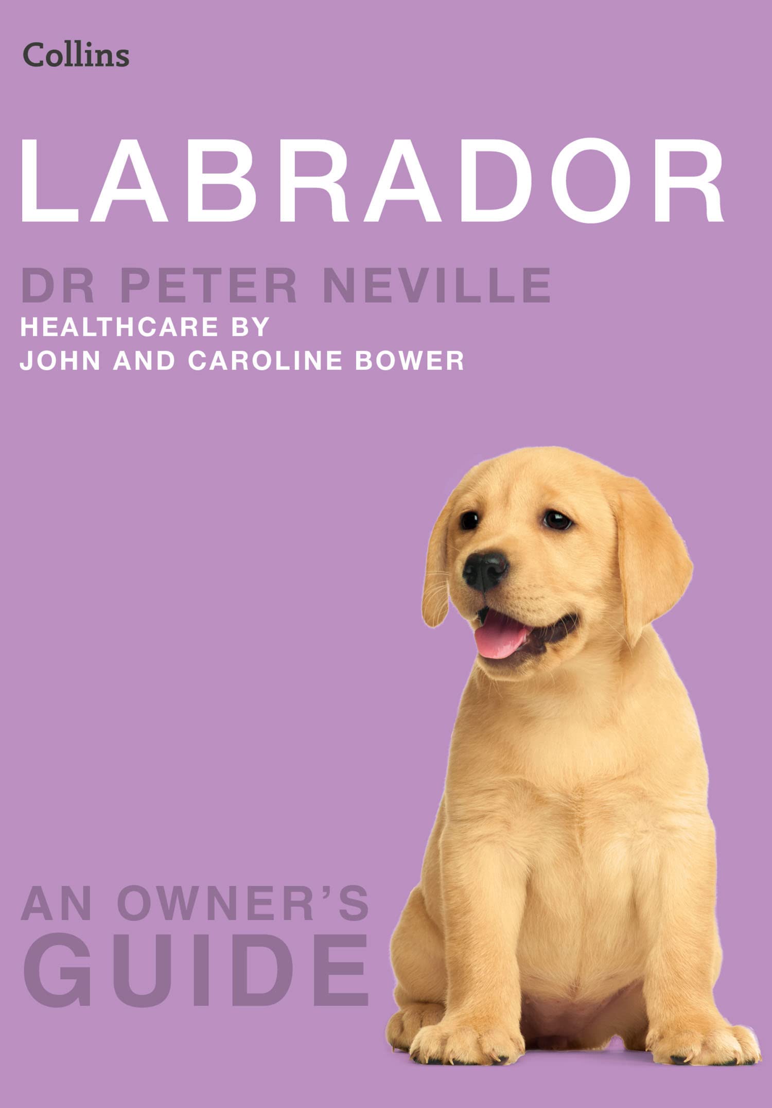 Labrador: An Expert Vet-Consulted Guide to Dog Training and Essential Pet Care (Collins Dog Owner’s Guide)