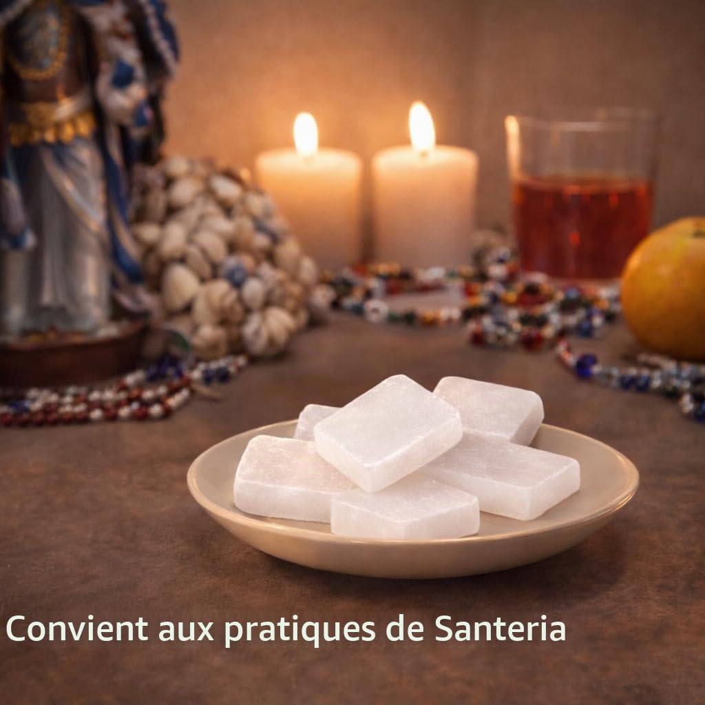 Camphre naturel blocs et cubes 300g pour Pooja Santeria religieux indiens