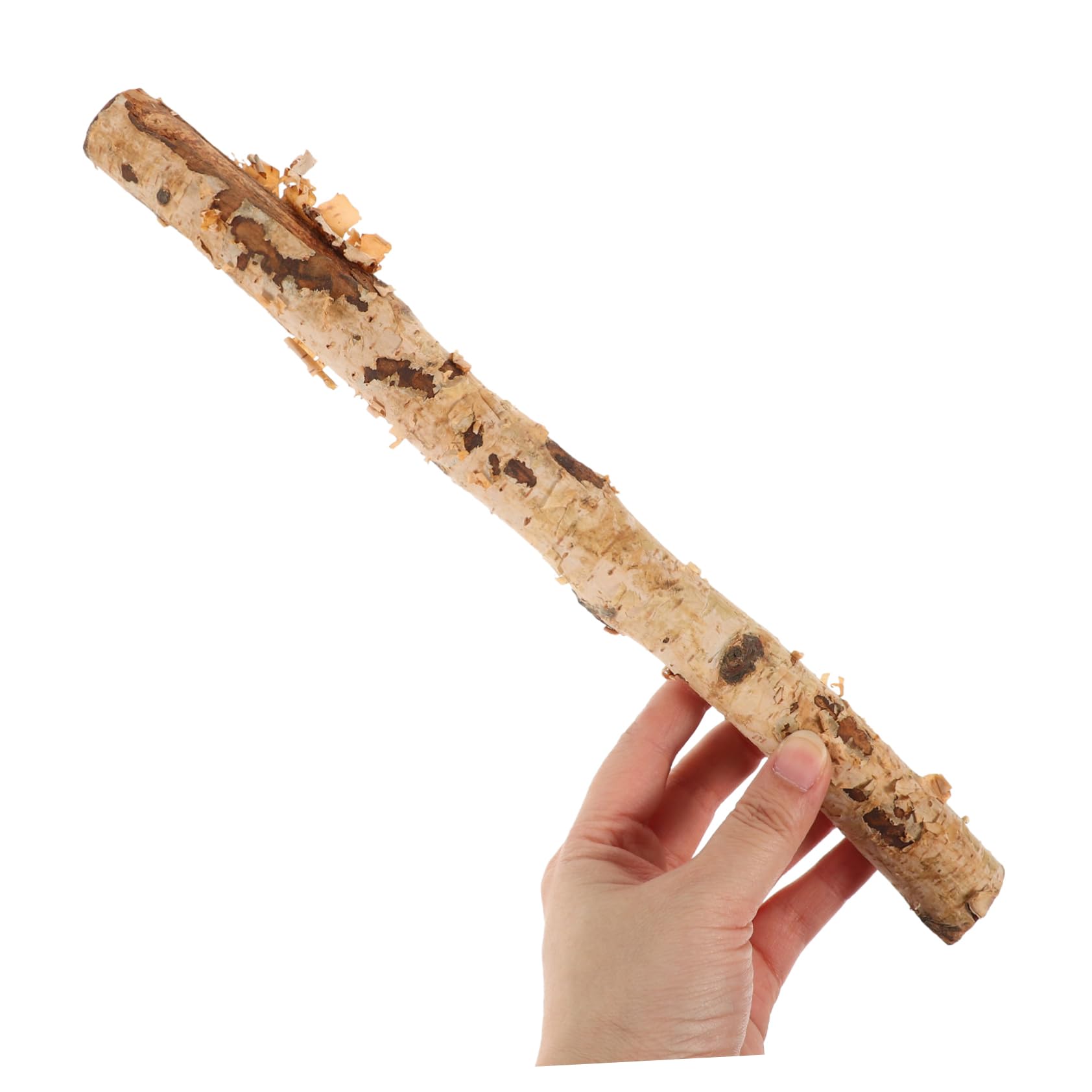 AUTSUPPL Natural Birch Branch Sticks Faux Logs Wood Log Sticks Twigs Handicraft Accessory Flower Arrangement