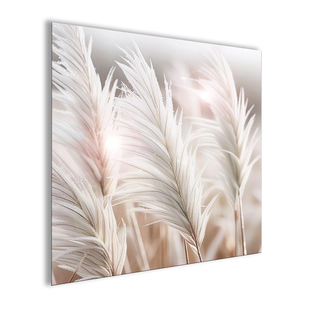 artissimo Bild aus Glas 50x50 cm Natur Pampasgras hell beige AG5571A – modernes Glasbild Wandbild Quadratisch, Wanddeko Wohnzimmer, beige, boho skandinavisch