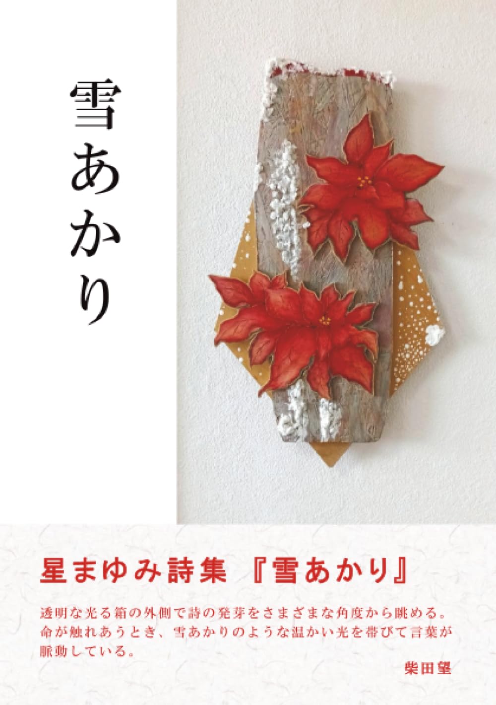 雪あかり: 星まゆみ詩集 (MyISBN - デザインエッグ社) | 星まゆみ