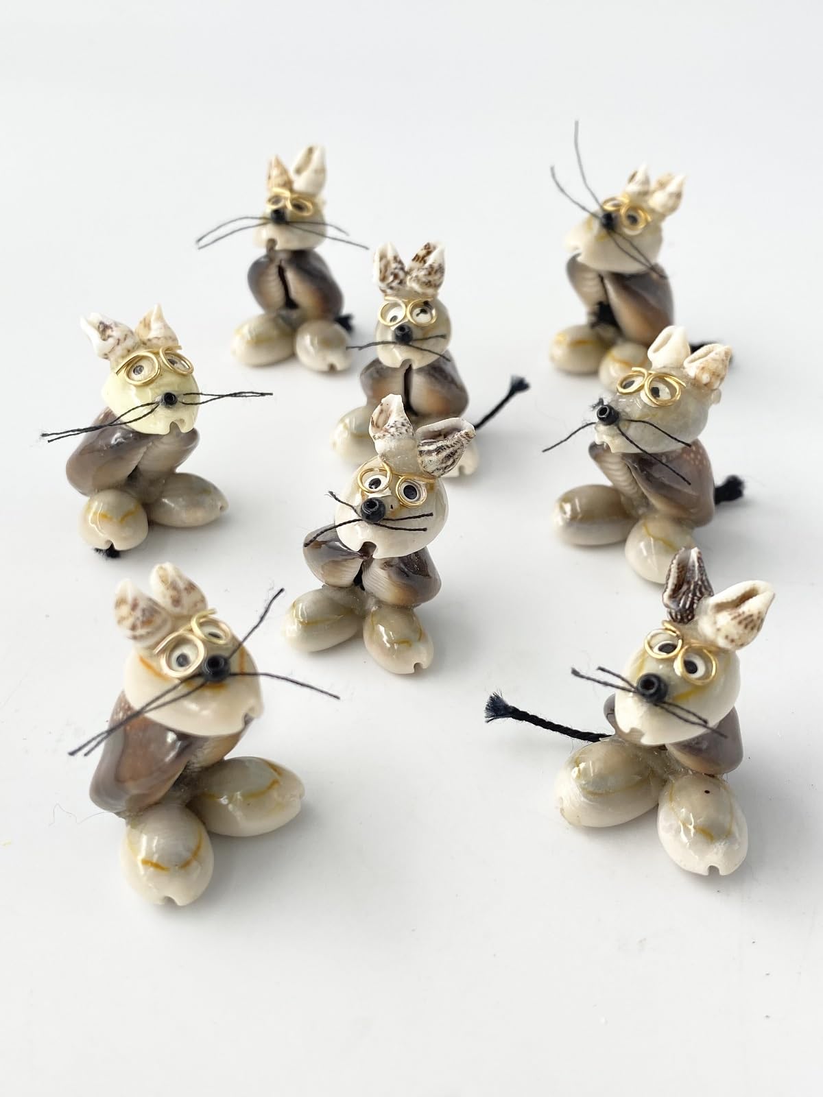 貝殻 Amazon | 【貝殻の問屋さん】貝細工-ねずみ-(約3.0～4.5cm/5個