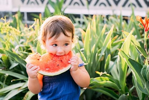 Miniatura 3 de Moon & Stars Semillas de sandía para plantar, más de 20 semillas tradicionales por paquete, semillas de jardín de Isla (semillas de jardín de Isla),