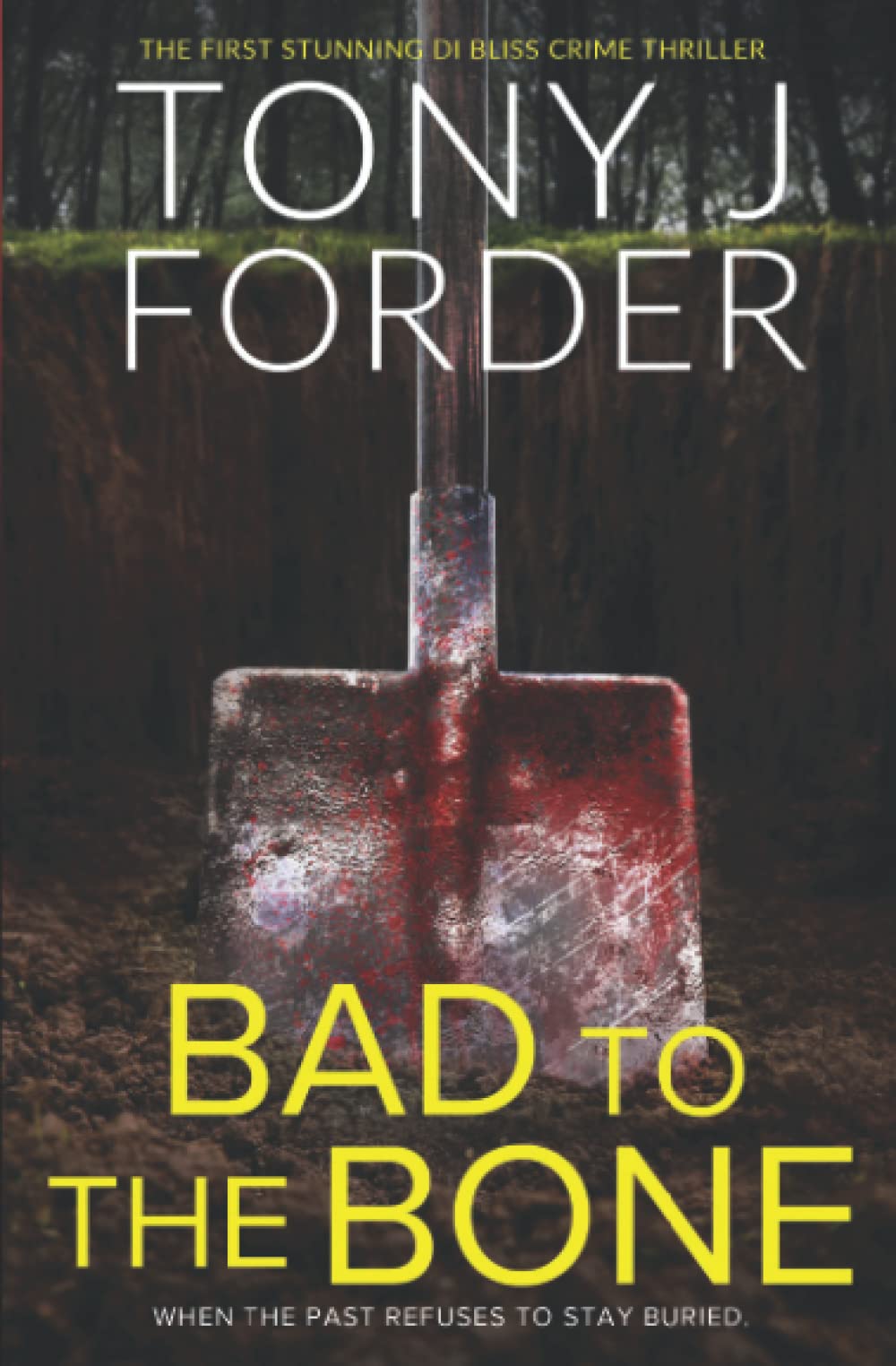 Bad To The Bone (The DI Jimmy Bliss Crime Series)