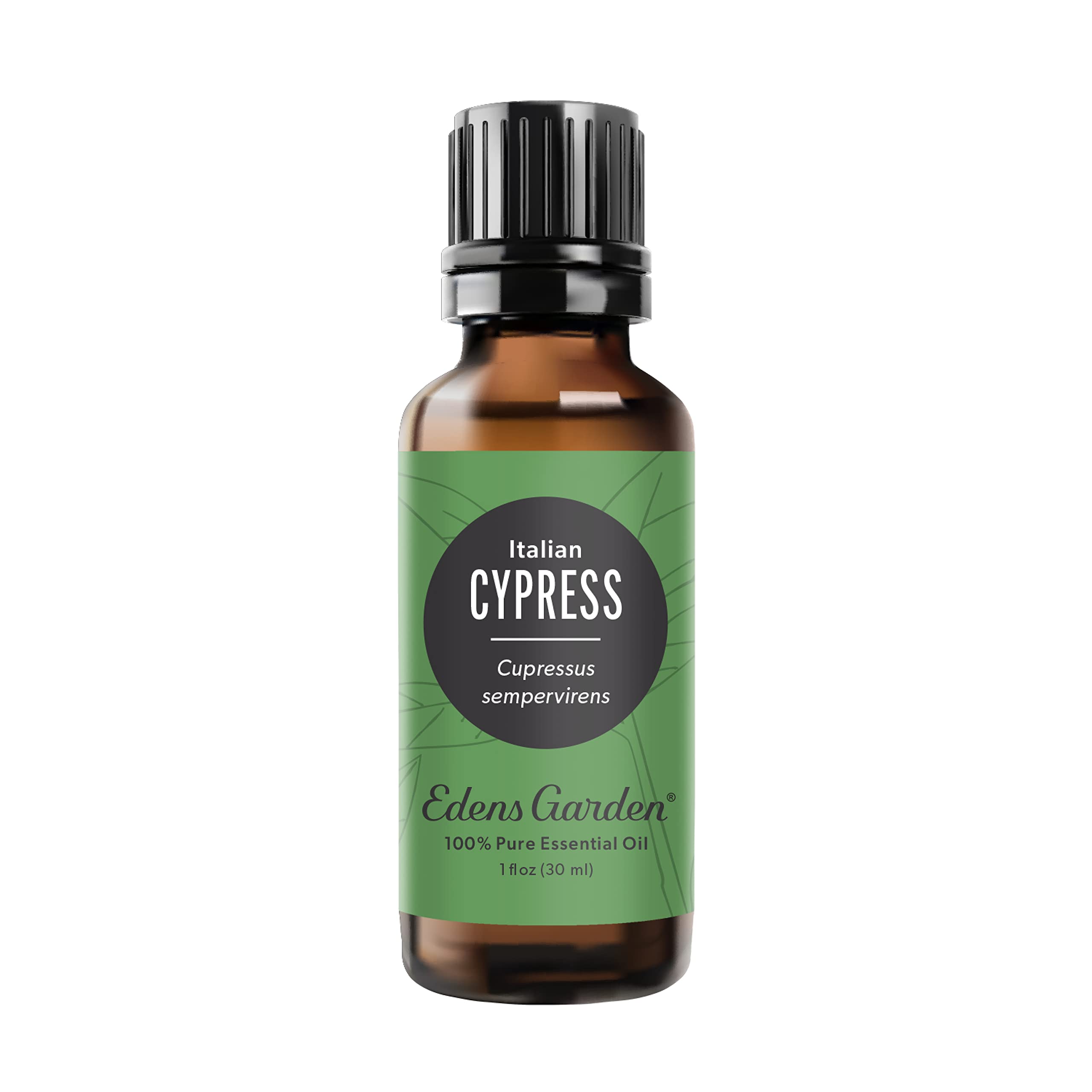 Amazon.com: Edens Garden Cypress- Italian Essential Oil- 100% Pure