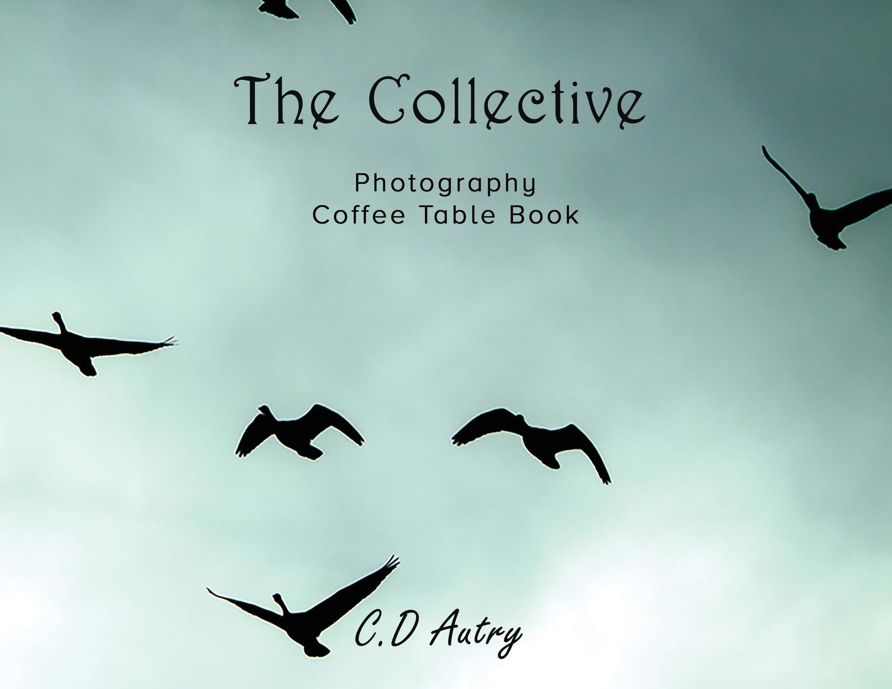 The Collective Photography Coffee Table Book album photo de collection relié grand format