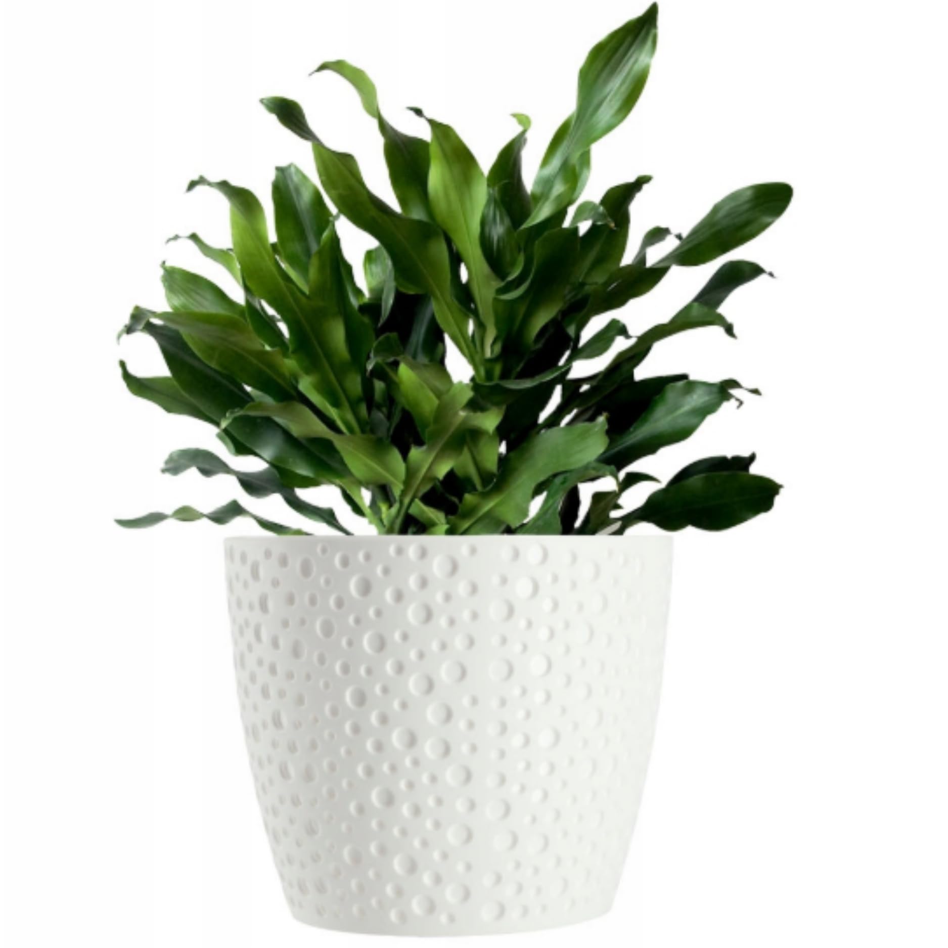 B2C Flowerpot plant pot planter Elza Plastic Crystal Modern Decorative Small Medium Large (17cm, White)