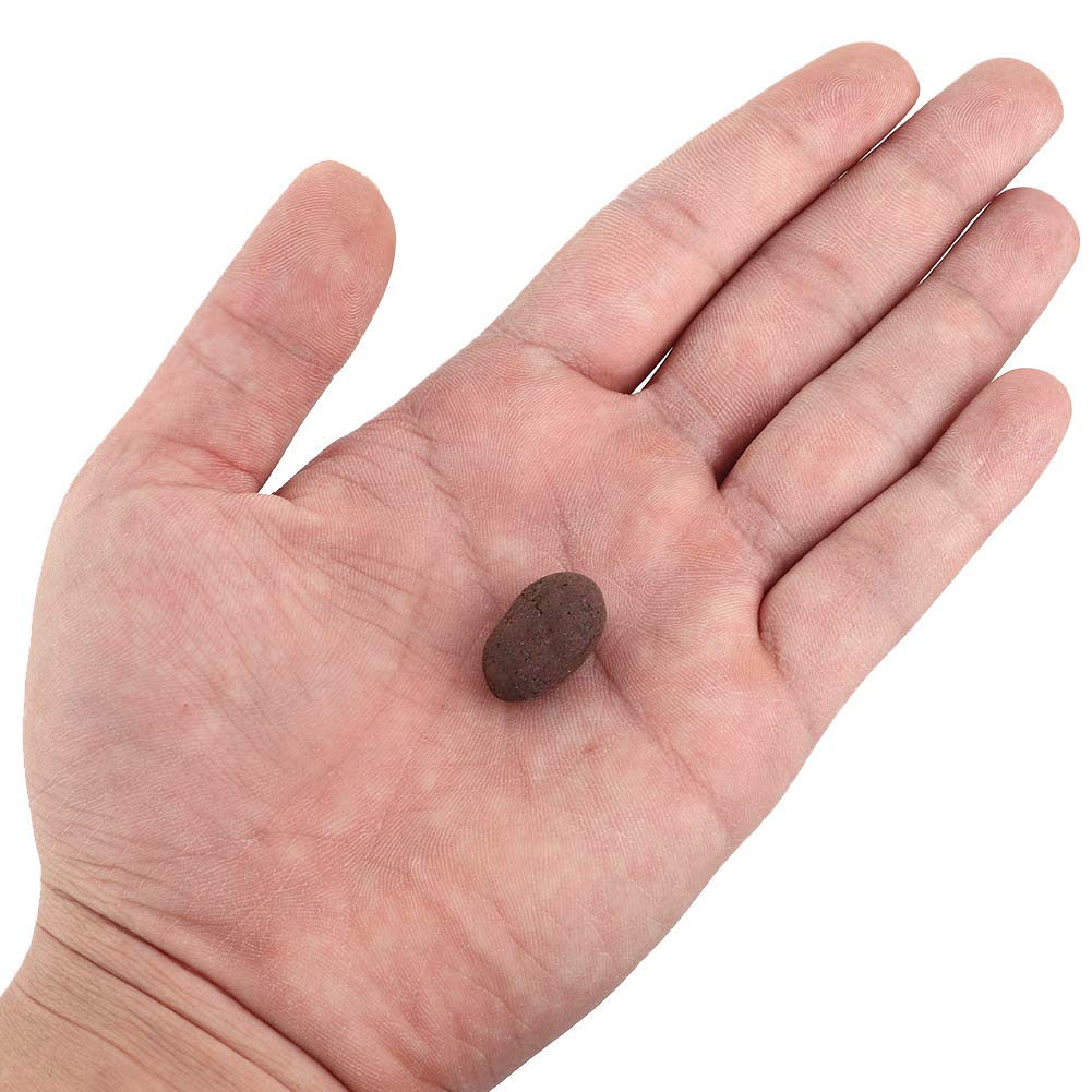 Yosoo Hydroponic Clay Pebbles Growing Media Galets d'argile anionique pour système hydroponique Jardin d'herbes d'intérieur pour laitue, Menthe, Persil