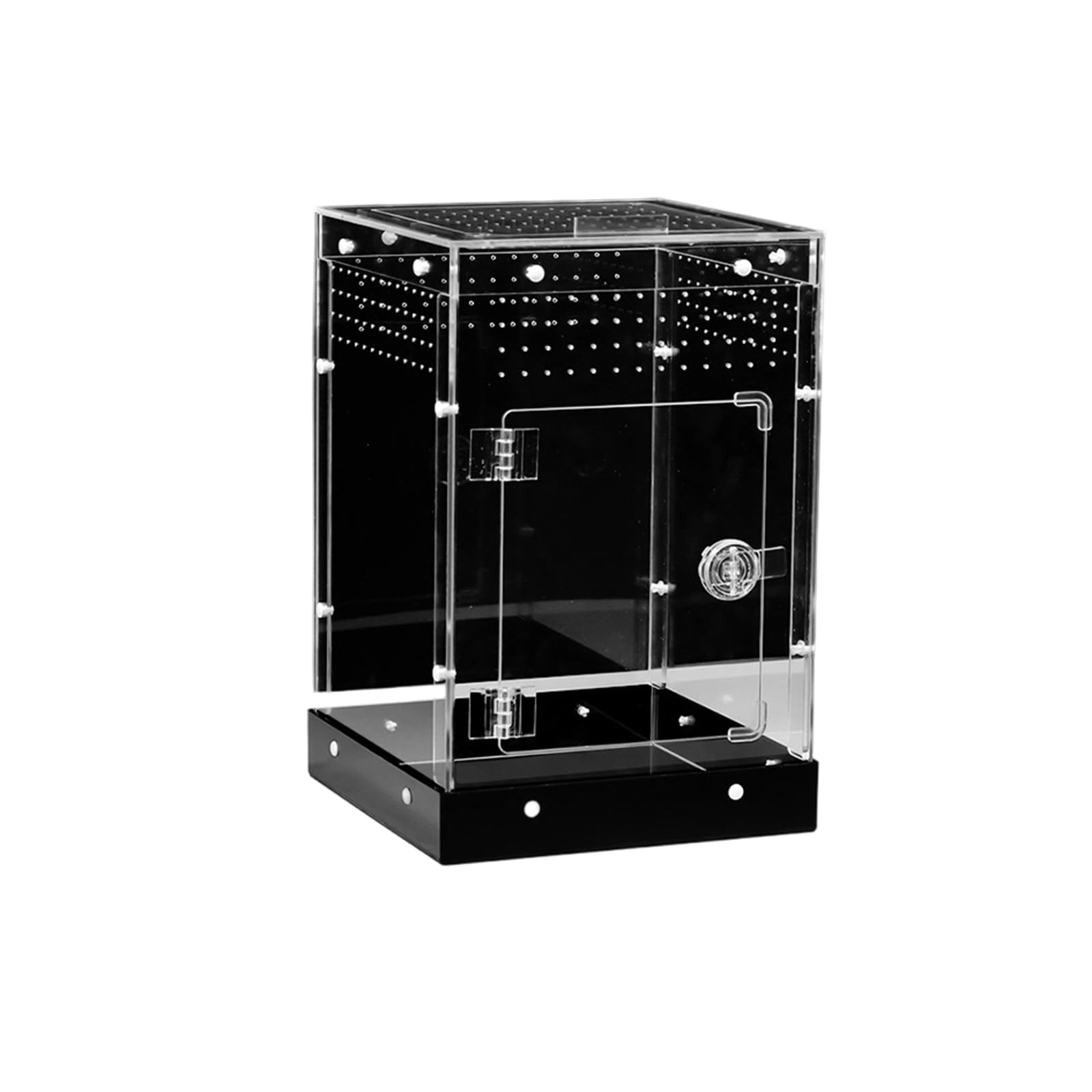 Terrario per display in acrilico trasparente per gechi Animali e anfibi Contenitore ventilato per allevamento animali domestici Scatola per allevamento Habitat in acrilico
