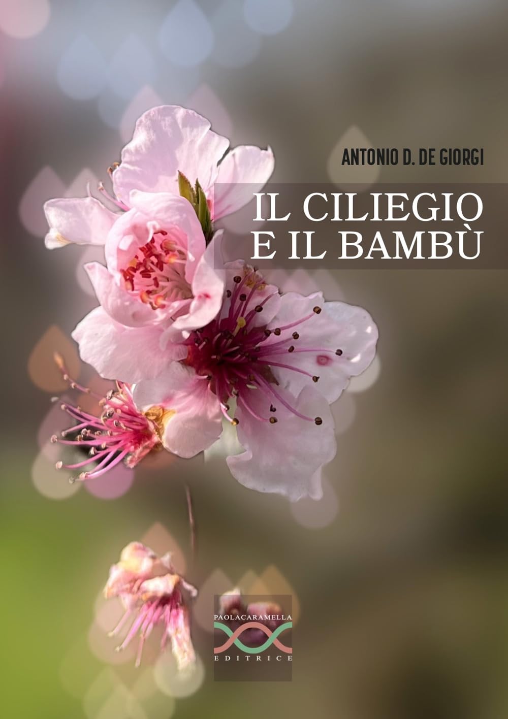 Il Ciliegio E Il Bambù - 4