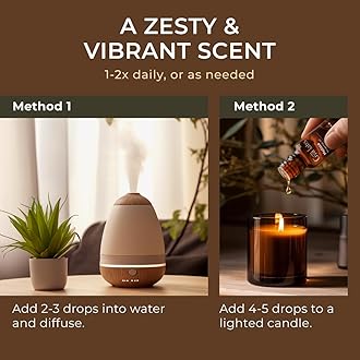 Gya Labs Melissa Essential Oil for Diffuser - Natural Melissa Essential Oil for Skin, DIY, Aromatherapy - Sweet & Herbaceous Scent - 100% Natural (0.34 Fl Oz)