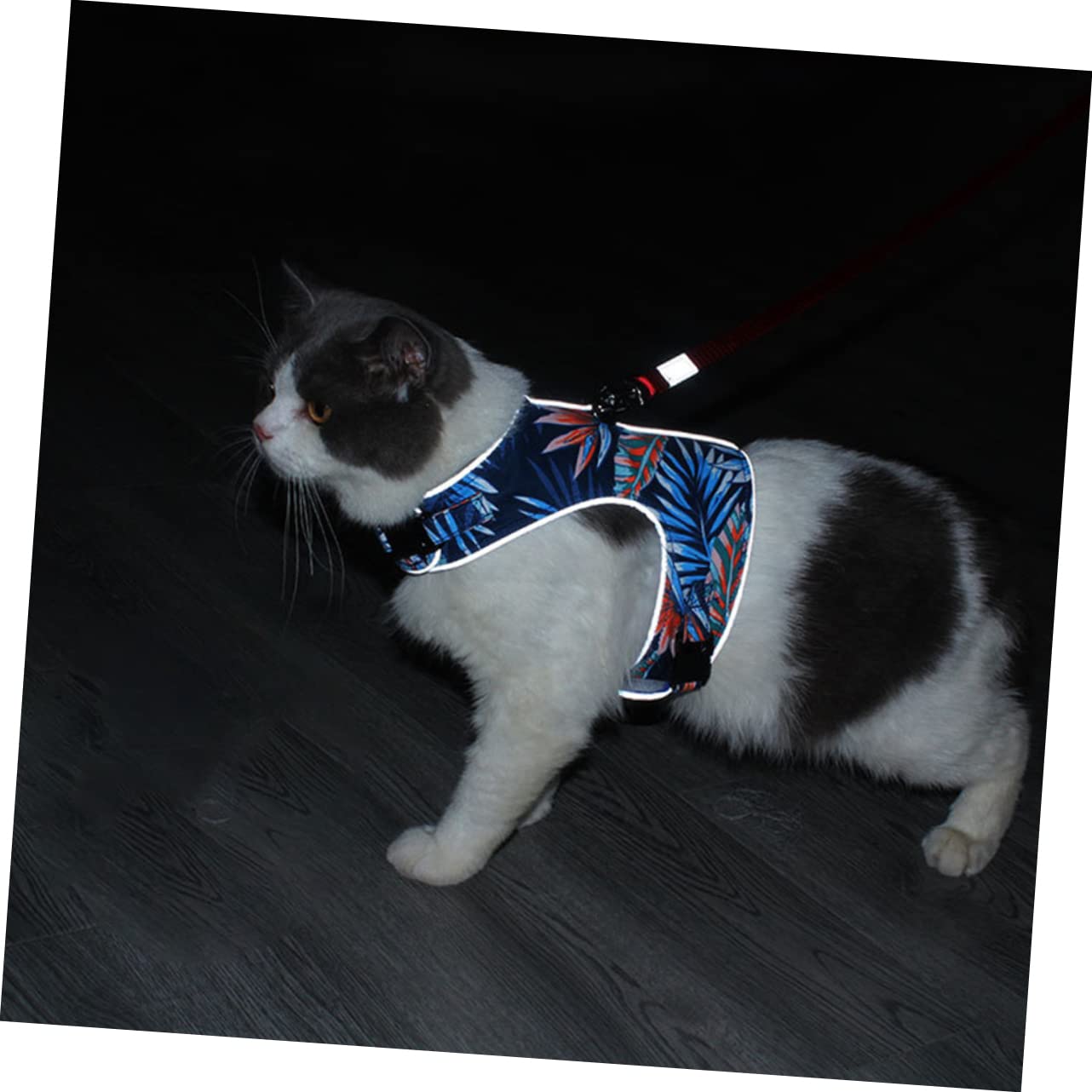 Ipetboom 2juegos Arnés Reflectante para Gato Correa Arnés Antiescape De Malla Transpirable De Oscuro