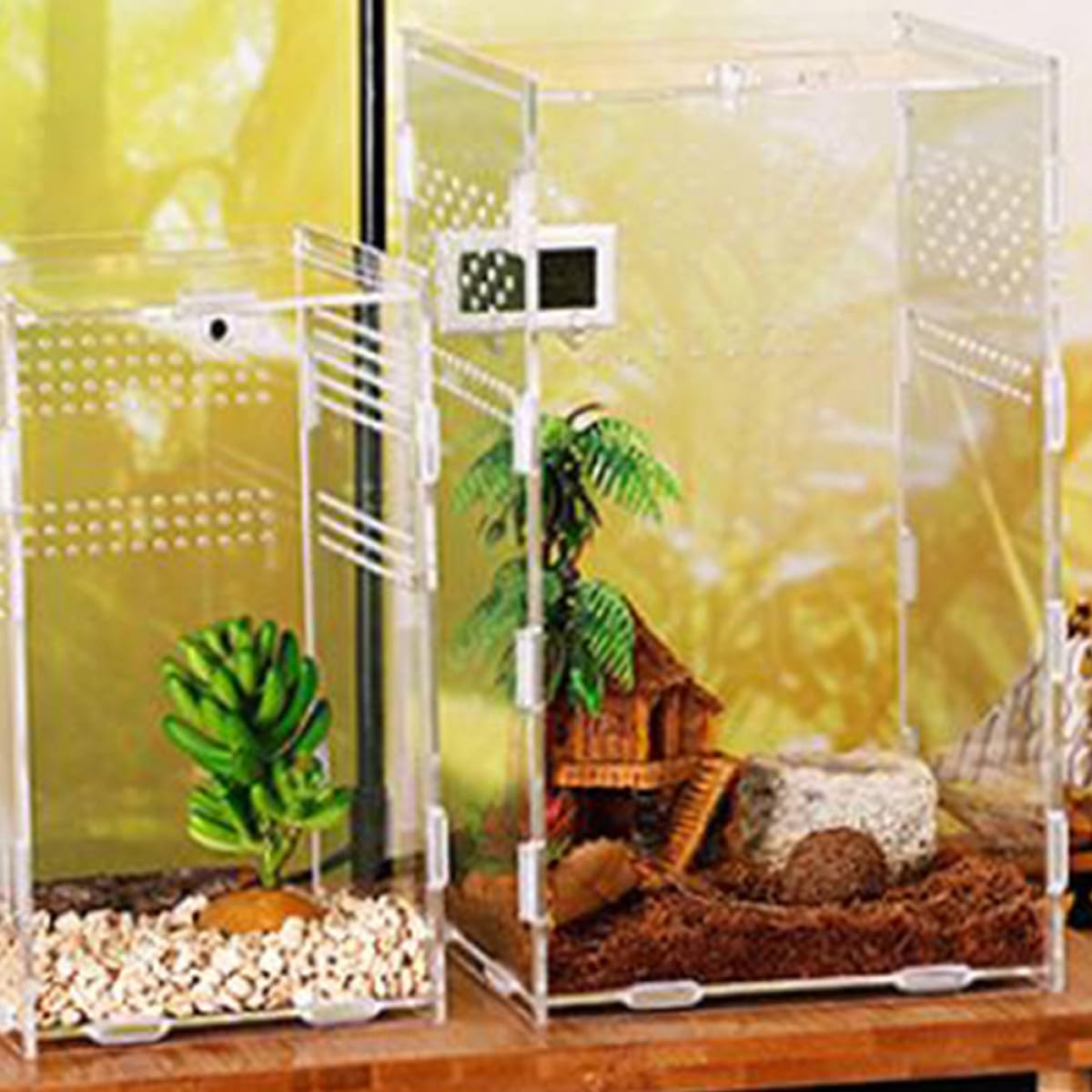CLISPEED Transparente Magnetbox für Reptilienhaltung 15x15x25cm mit Belüftungslöchern Strapazierfähiges Material Transportable Terrarienbox für Geckos Schlangen und Kleintiere