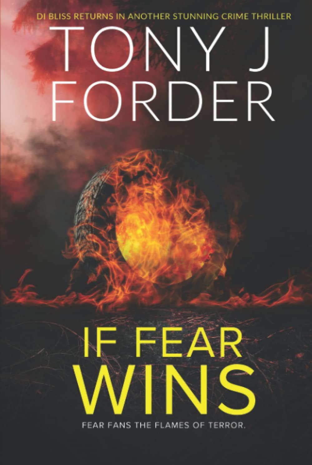 If Fear Wins (The DI Jimmy Bliss Crime Series)