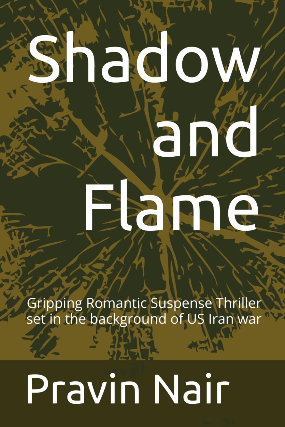 Shadow and Flame: Gripping romantic thriller
