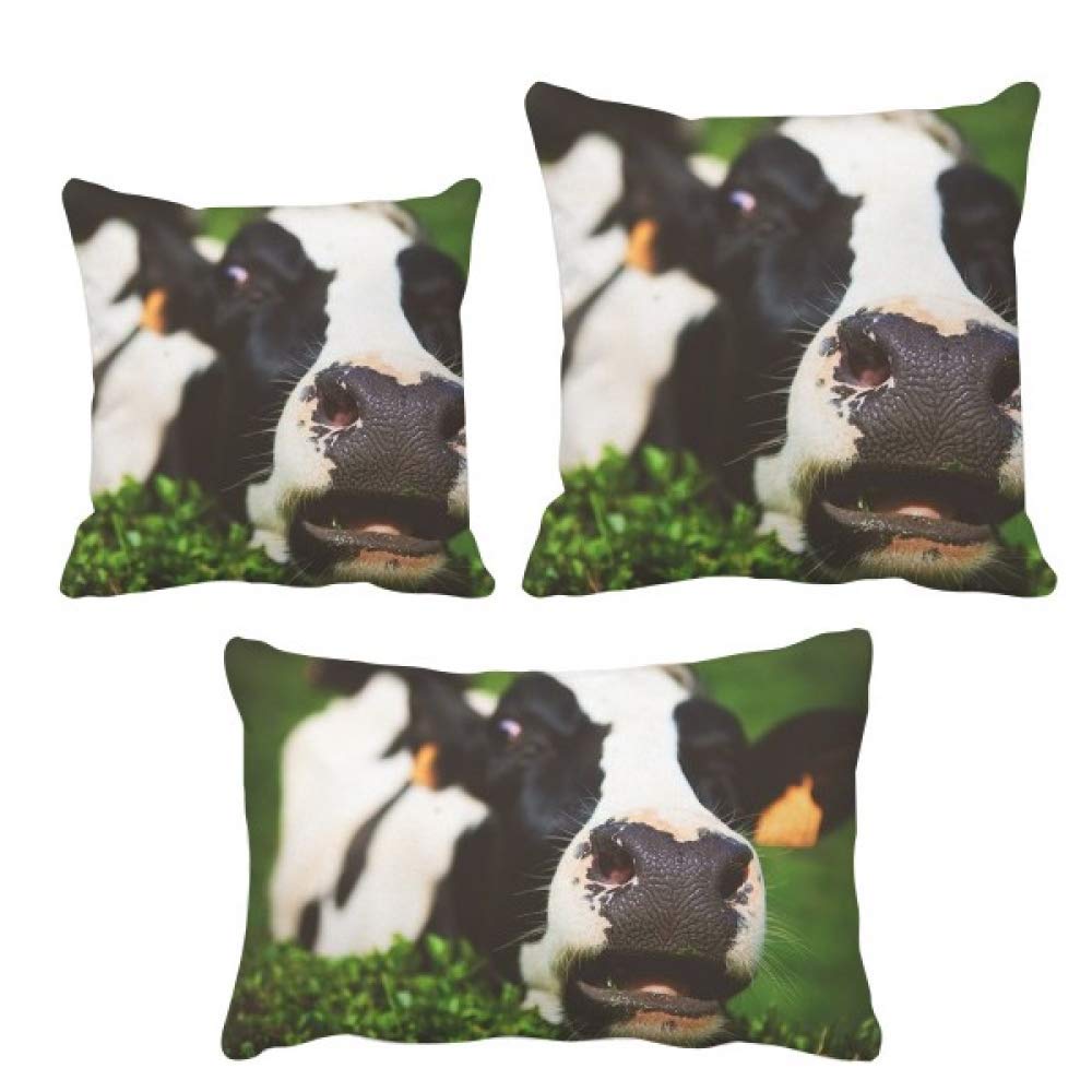 Housse de coussin motif vache pour décoration de canapé cosy