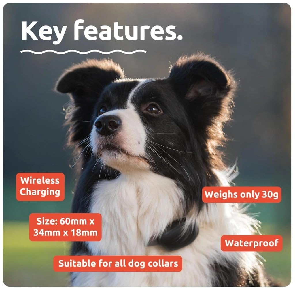 AirTag Cat Collar for Airtag Dog Collar HolderProtective Cat Airtag Dog Collar, Silicone AirTags GPS Tracking Accessories, Air Tags (1 Pack(Black)) - image 3