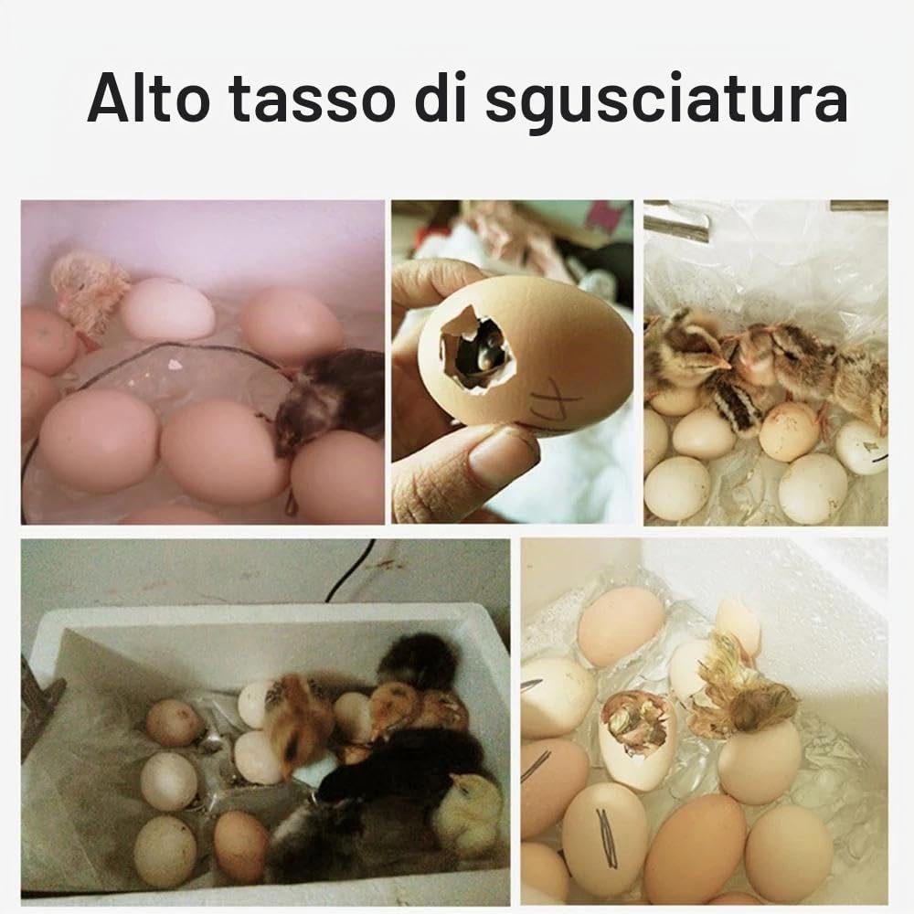 Incubatrice automatica per 20 uova, completamente automatica, con funzione di riempimento dell'acqua, schermo di visualizzazione, rotazione automatica, pollaio incubatrice per polli, quaglie (20 uova)