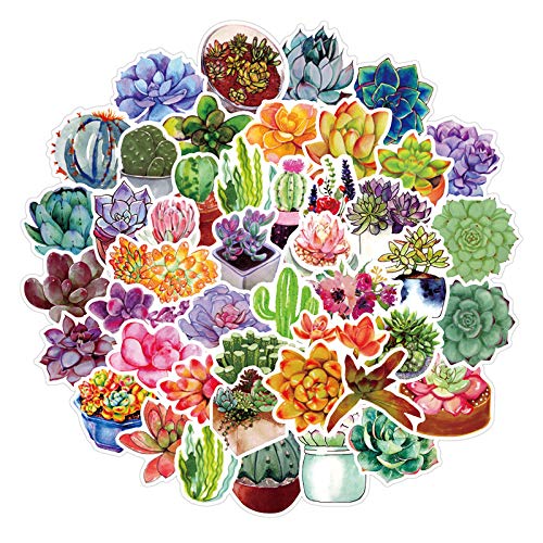 50PCS Succulent Stickers for Laptop Water Bottles Skateboard Bullet Journaling Planners Phone Cute Cactus Plants Trendy Aesthetic Waterproof Vinyl Decals Scrapbooking Sticker Pack for Girls Kids