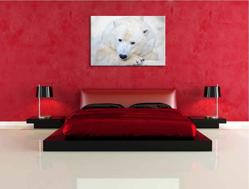 câlin ours polaire noir / blanc Taille: 120x80 sur toile, énorme XXL Photos complètement encadrée avec civière, art impression sur murale avec cadre, moins cher que la peinture ou la peinture à l'huile, aucune affiche ou un poster