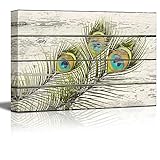 wall26 - Colorful Peacock Feathers Artwork - Rustic Canvas Wall Art Home Decor - 16x24 inches