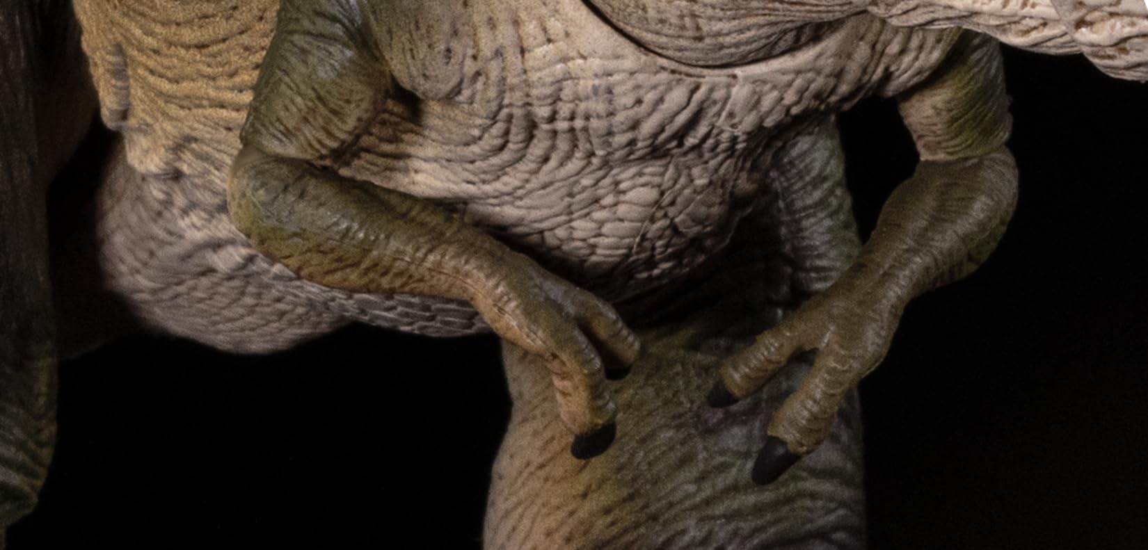 Amazon | Nanmu 本心楠改 ティラノサウルス フィギュア 3.0 メス オス