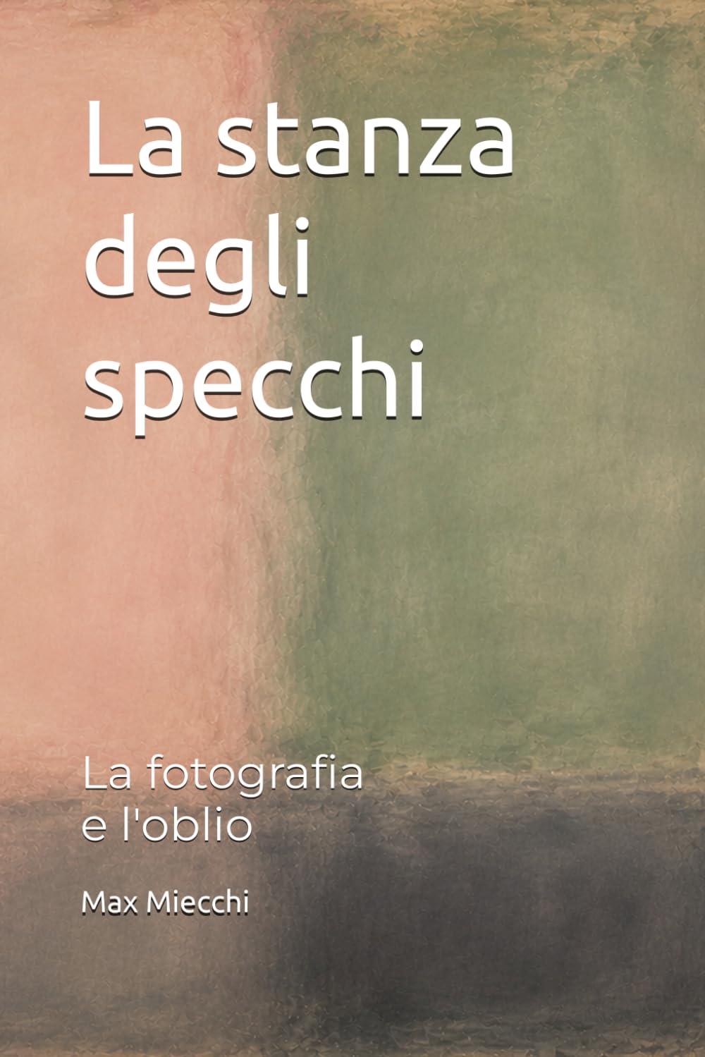 La stanza degli specchi: La fotografia e l'oblio (Romanzi)