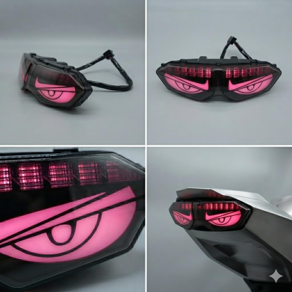 RudraRidez Bike Tail Brake Light Turn Signal Plate Lamp Clear Lens