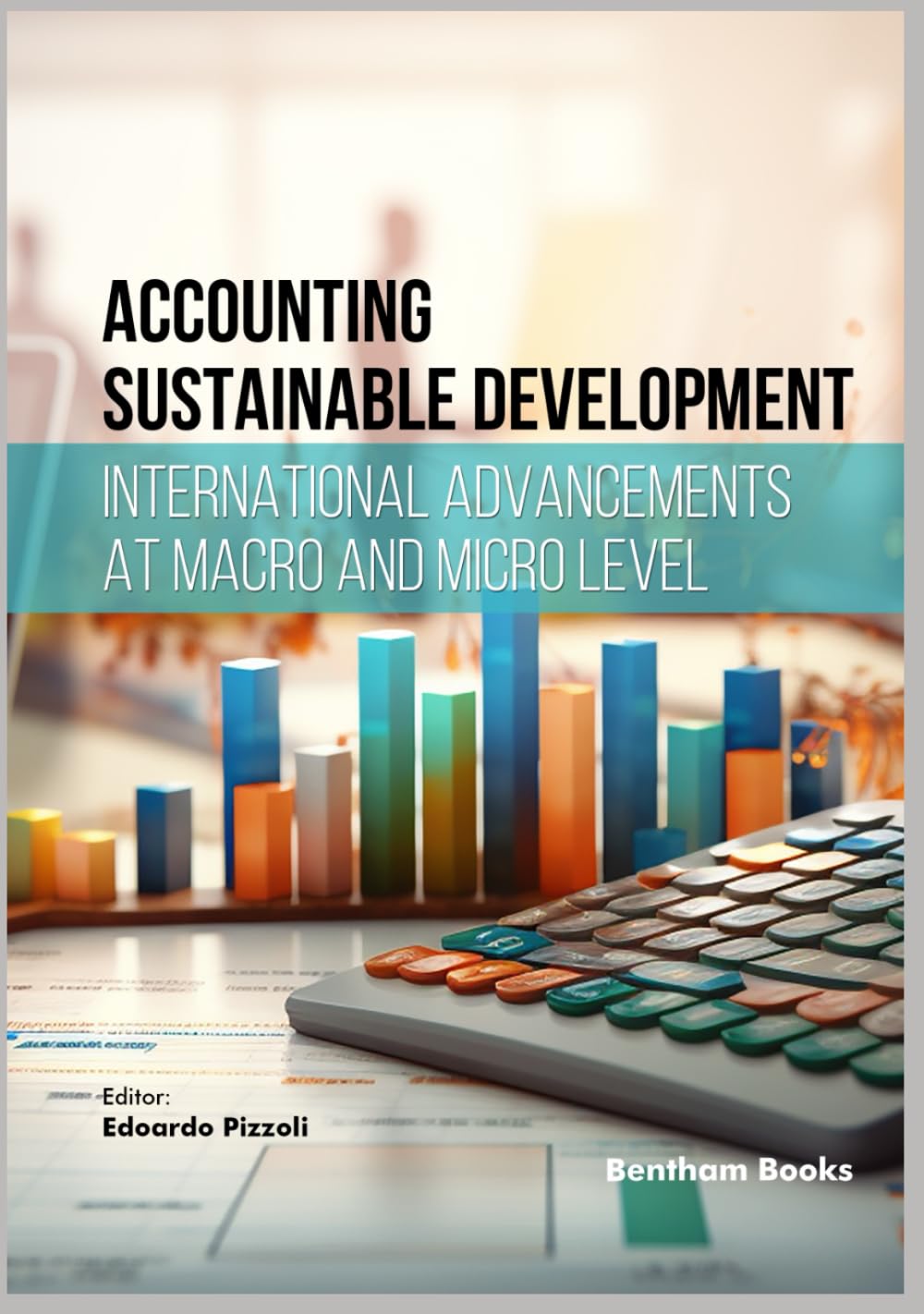 Accounting Sustainable Development: International Advancements at Macro and Micro Level