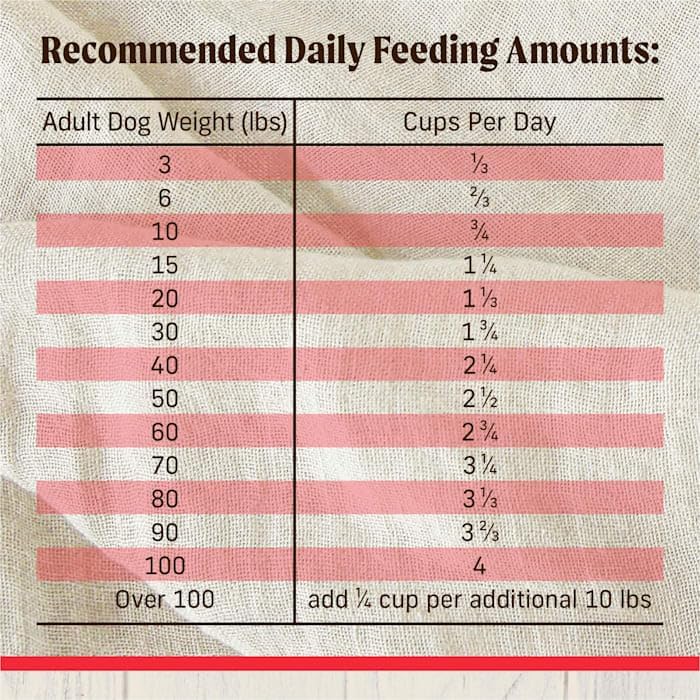 Merrick Healthy Grains Beef and Brown Rice Raw-Coated Kibble High Protein Freeze-Dried Dog Food, 4 lbs.