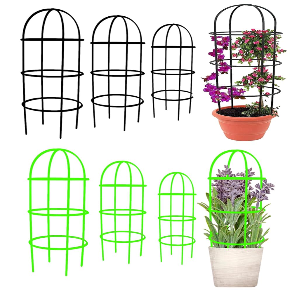 ARTICRAFT Trendy Trellis Plant Support Metal Stands for Climbing Plants, Home Garden | Strong and Stylish Garden Supports for Healthy Plant Growth| Pack of 6 (MULTI COLOR) (B0C4FWR97D) Amazon Price History, Amazon Price Tracker
