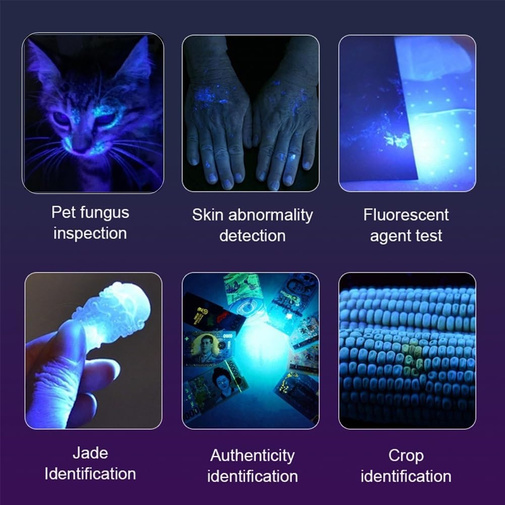 UV Flashlight Applications
