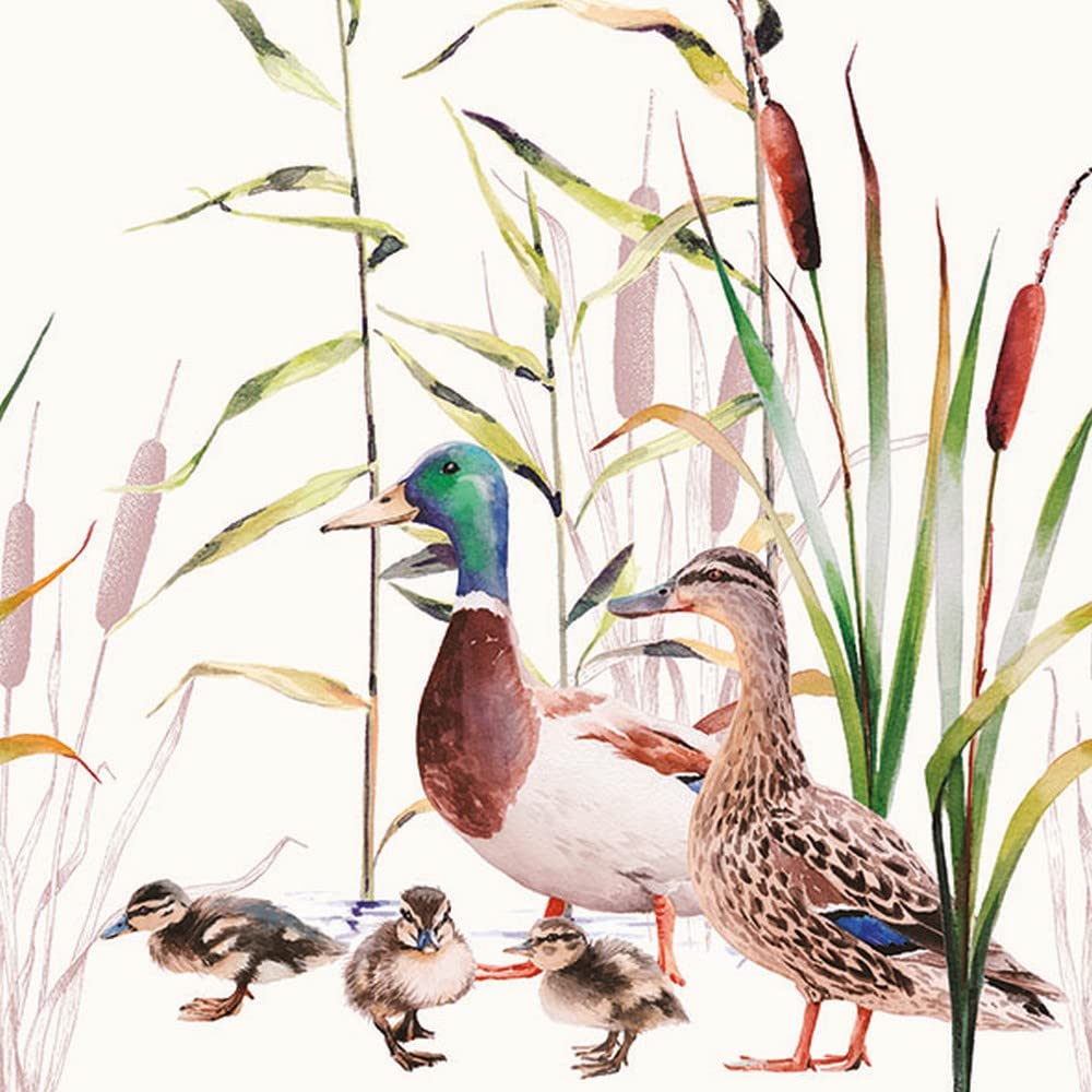 Ambiente Tovaglioli Di Carta Con Anatre - 20 Pezzi 33x33 Cm 3 Veli - Ecologici FSC