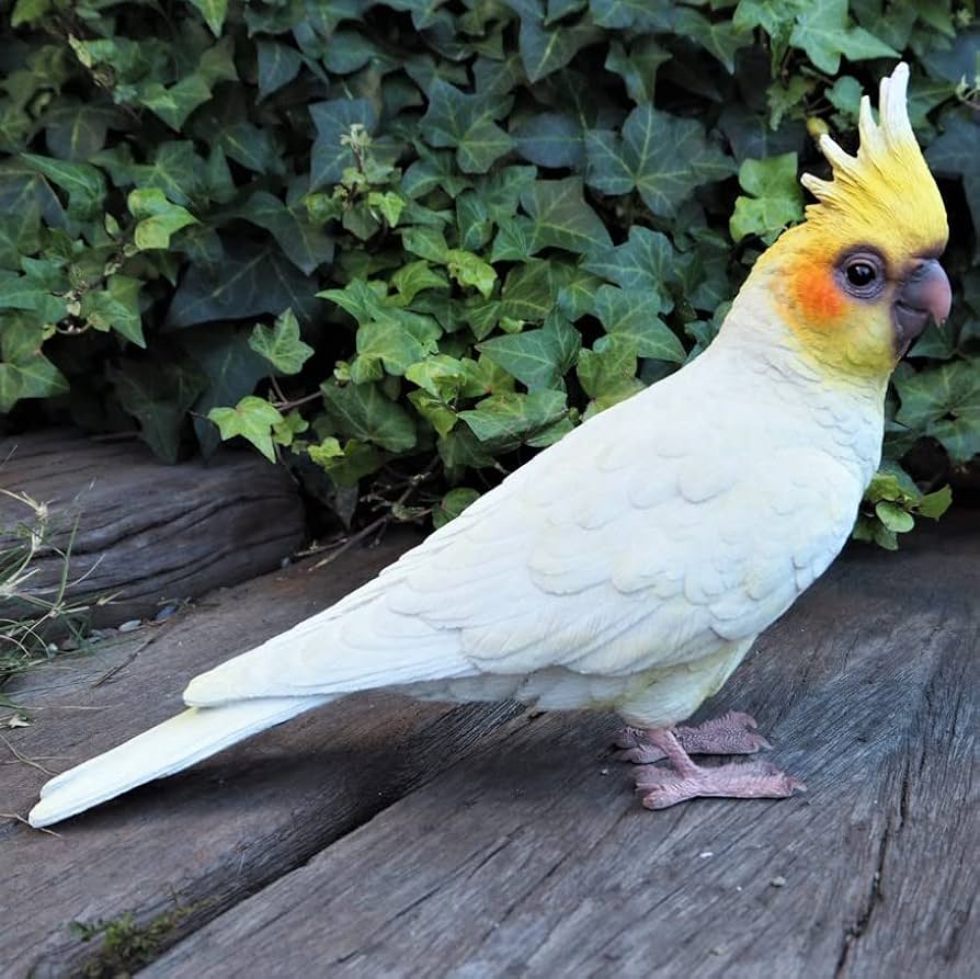 Amazon.co.jp: 小鳥の置物 インコの置物 オカメインコ