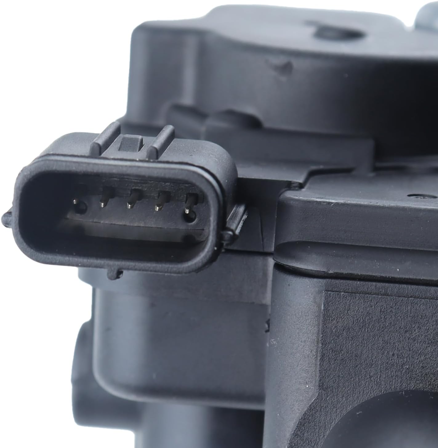 美品 アカヤマドリ剥製 ガラスケース付き 台座付き 2025年最新】ガラス