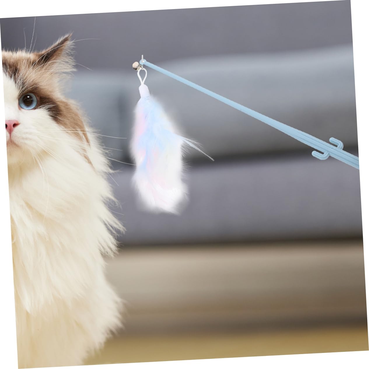 Kisangel 20pièces Canne à Interactive pour Chat avec Plumes Et Clochettes Jouet Feutre pour Exercice Et Combattre Ennui des Chats Intérieur