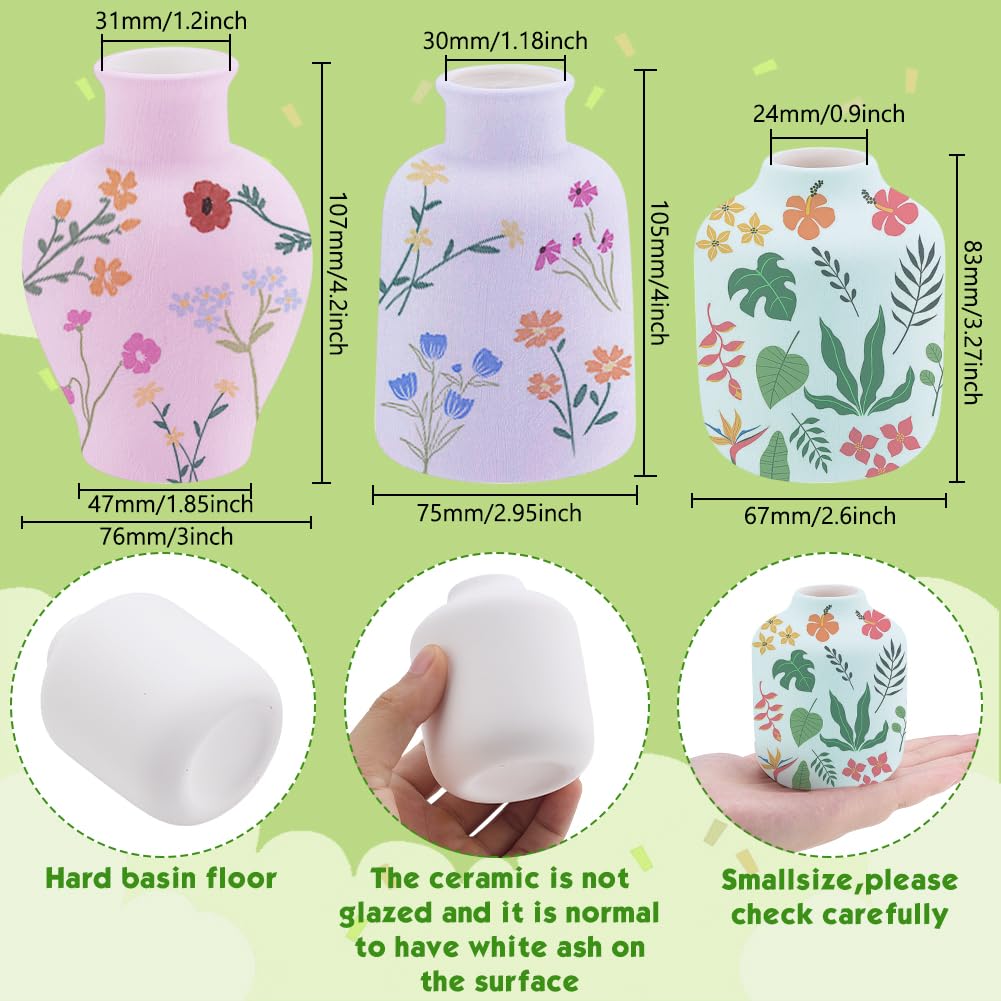 WEBEEDY Kit Pittura Vasi In Ceramica Fai Da Te – 3 Vasi Bianchi + Colori E Pennelli – Attività Artistica Rilassante Per Adulti E Principianti