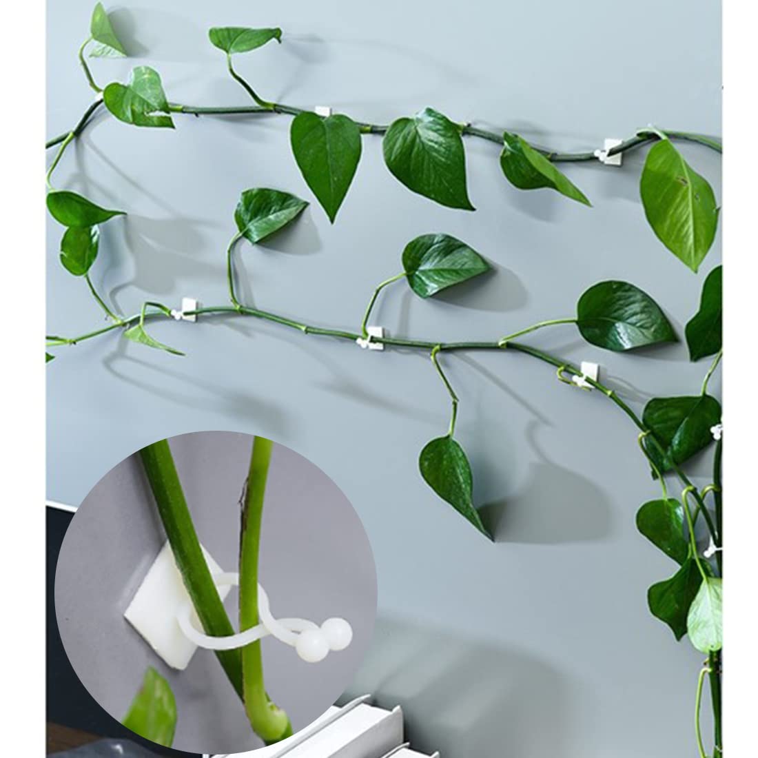 SR Creation Plant Support Garden Clips Climbing Fixing (30 Pcs) (B09QCB98KV) Amazon Price History, Amazon Price Tracker