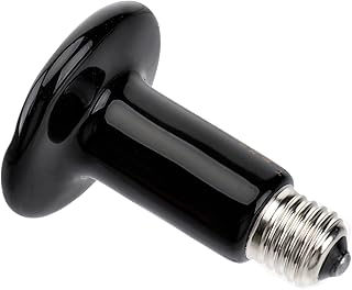 Ipetboom 2 Peças Lâmpada De Calor Para Animais De Estimação Lâmpadas De Calor Para Galinhas Reptisoil Lâmpadas Noturnas Luz De Aquecimento De Répteis Lâmpada De Calor Para Répteis Emissor