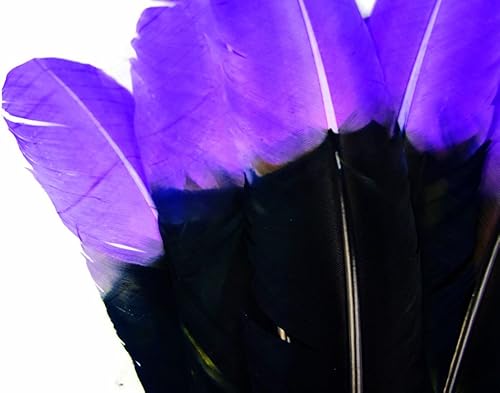 Miniatura 7 de 14 libras - Pavo de oro antiguo Tom Rounds Secundaria ala Quill al por mayor plumas (a granel) carnaval, Fletching Craft Supply  Moonlight Feather