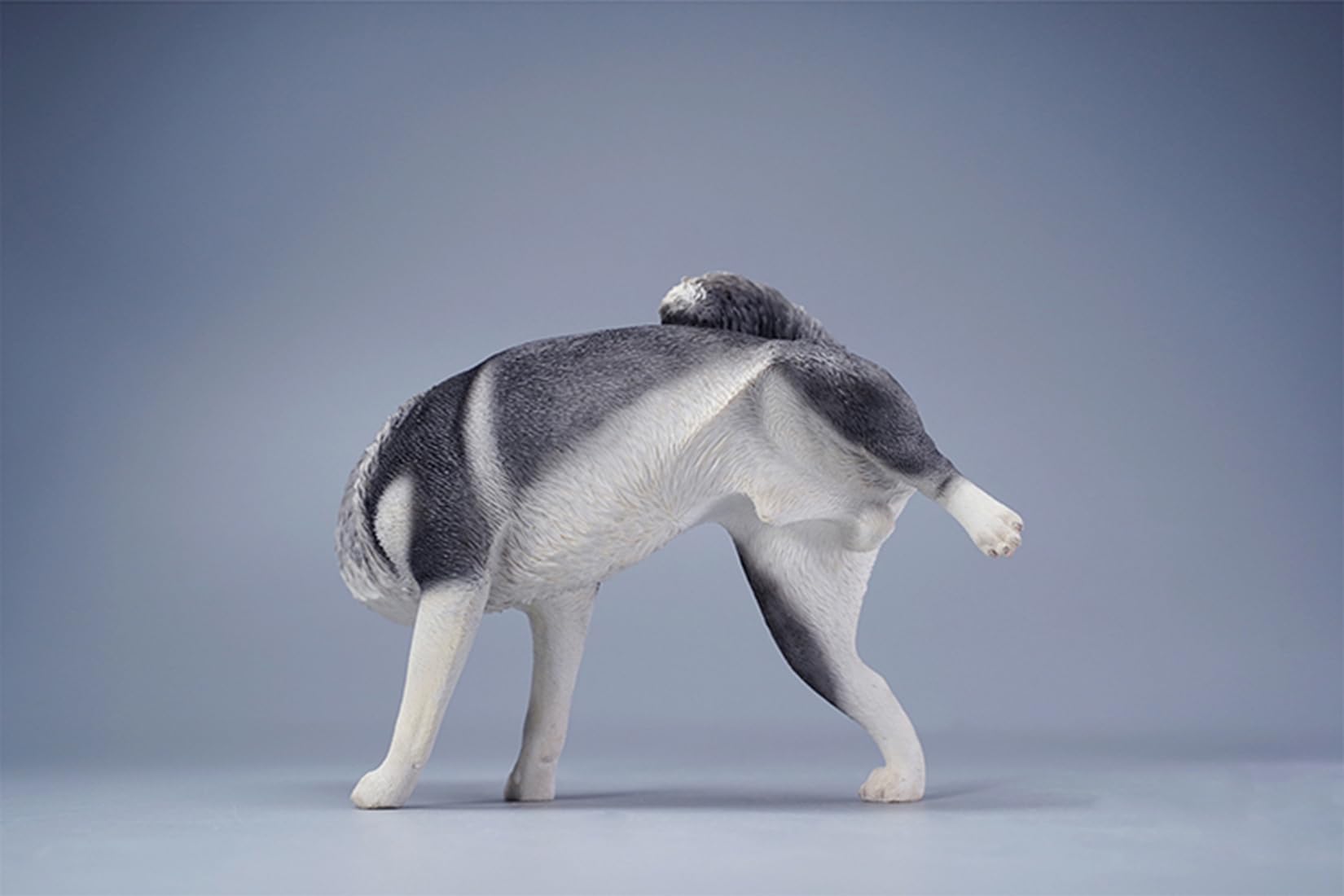 Amazon.co.jp: 1/6 サイズ シベリアン・ハスキー可愛い 滑稽 犬 動物