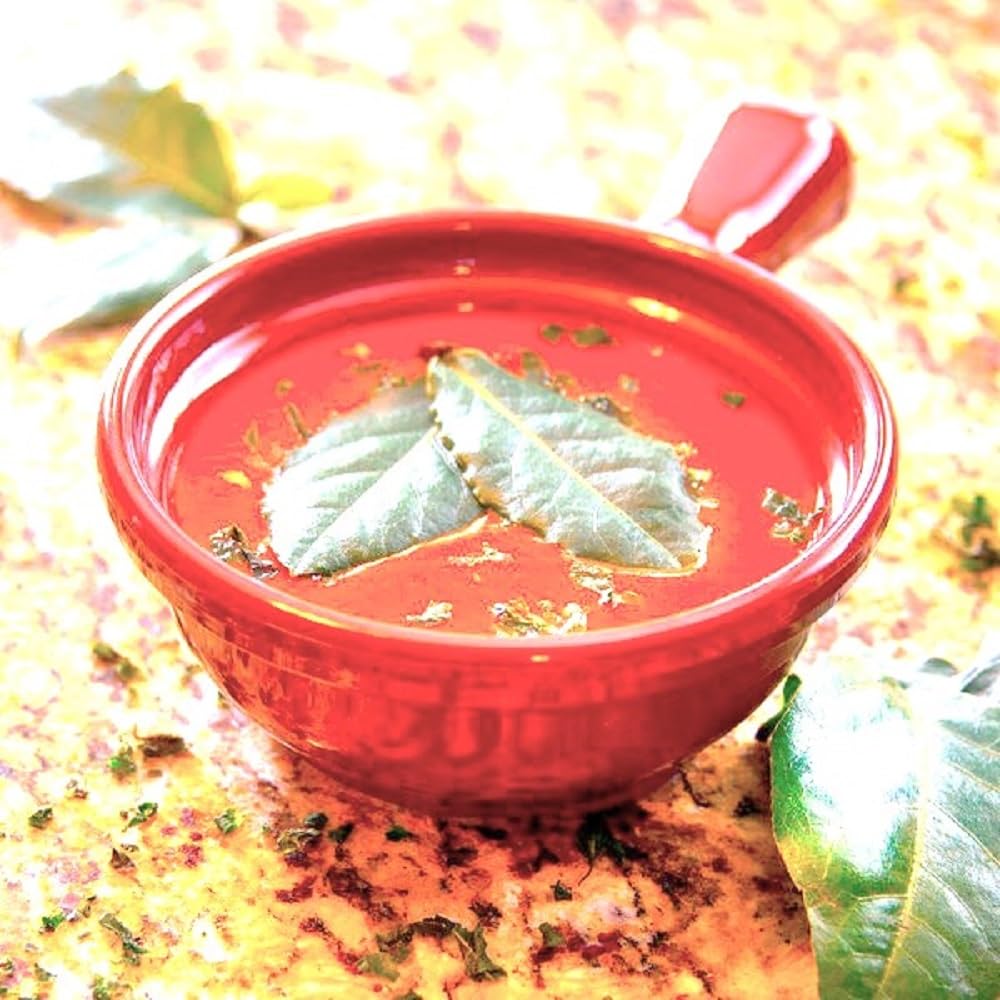 TrueCraftware- 10 oz Soup Bowls with Handle Orange Color Melamine Set of 12- Dishwasher Safe Break-Resistant Reusable Bowls Serving Soup Bowl Broth Cups Soup Bowls Ice Cream Dipping Sauce