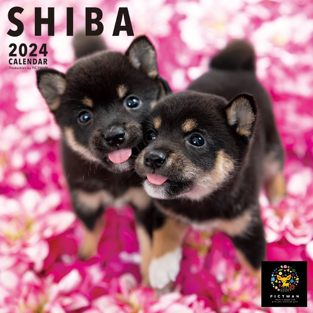 PICTWAN L024 2024 Calendar [L Version] Shiba