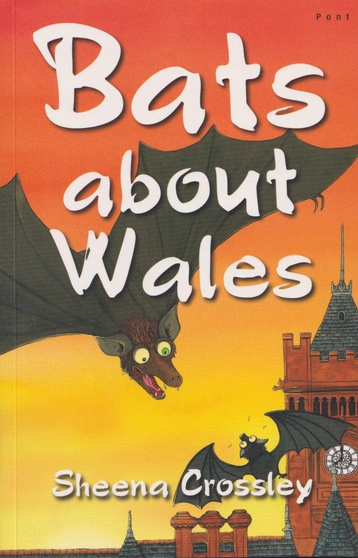 Out and About in Wales: Bats About Wales