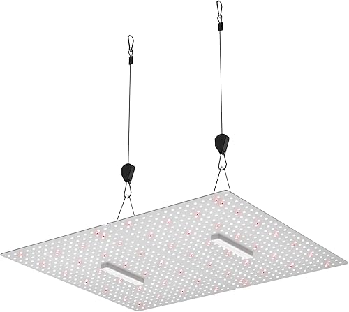 Miniatura 9 de S1000 LED crece luz de espectro completo luz de planta para invernadero interior crece tienda de cultivo semilla arranque vegetal floración brote
