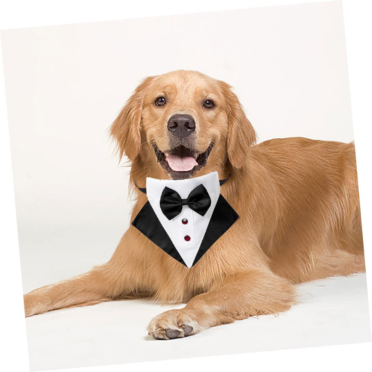 Toddmomy Abbigliamento Per Cani Tuta e Bandana Camicia Fiocco Outfit Elegante Per Cani Collare e Tuta Per Animali Domestici Per Matrimoni e Feste