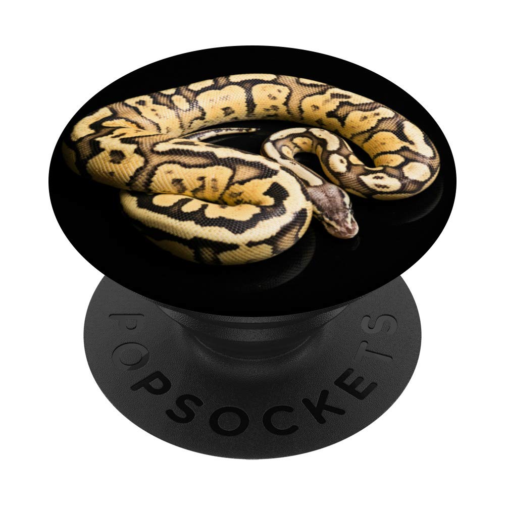 Snake Popsocket Green MagSafe IPhone 16 Case OtterBox Lumen Series