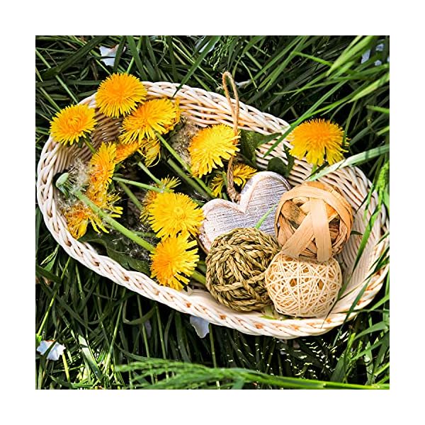 Episkey 9 Stück Kaninchen-Spielzeug, Kaninchen-Leckerlis, Meerschweinchen, Spielzeug für kleine Haustiere, Kaubälle, Grasbälle, natürliches Spielzeug für Kaninchen, Rennmäuse und Hamster (7,8 cm) – Bild 5